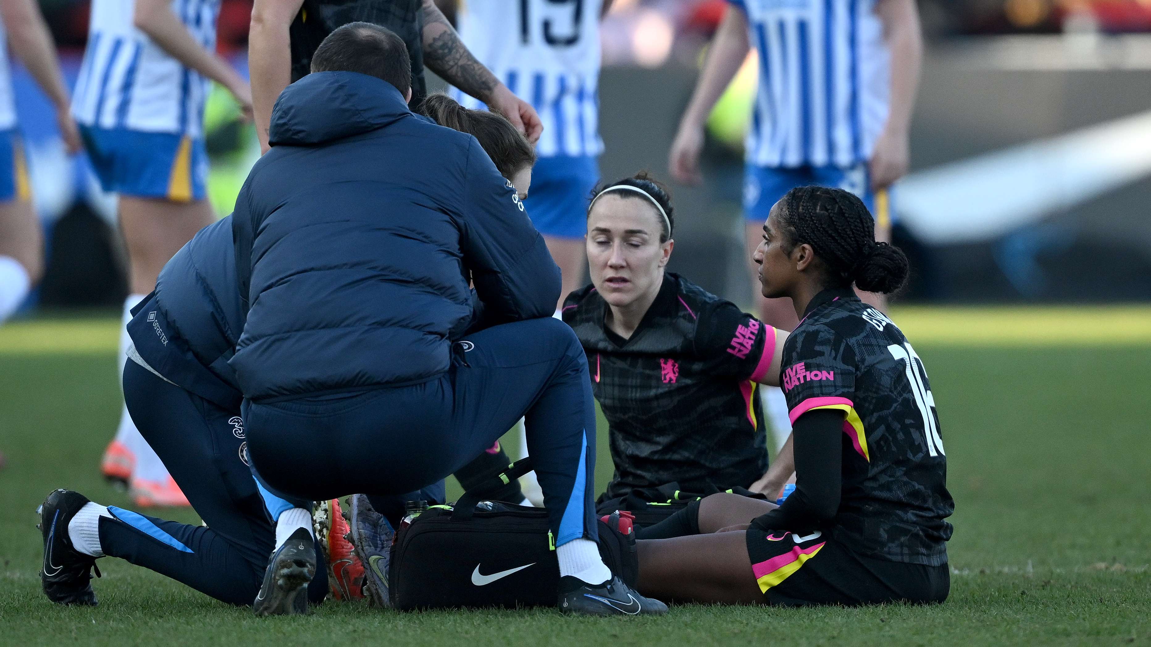 智利林火中 智利林火中